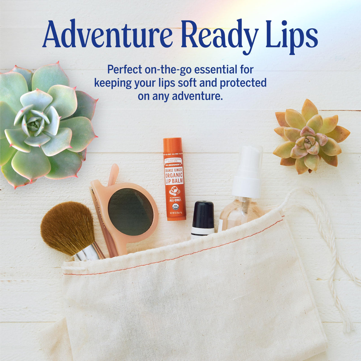 Dr. Bronner's Organic Lip Balm set displayed