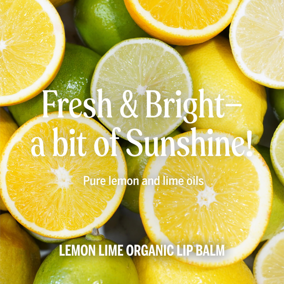 Dr. Bronner's Organic Lip Balm tube showing organic ingredients
