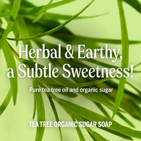 Dr. Bronner's Organic Sugar Soap 64oz Tea Tree in a bathroom setting