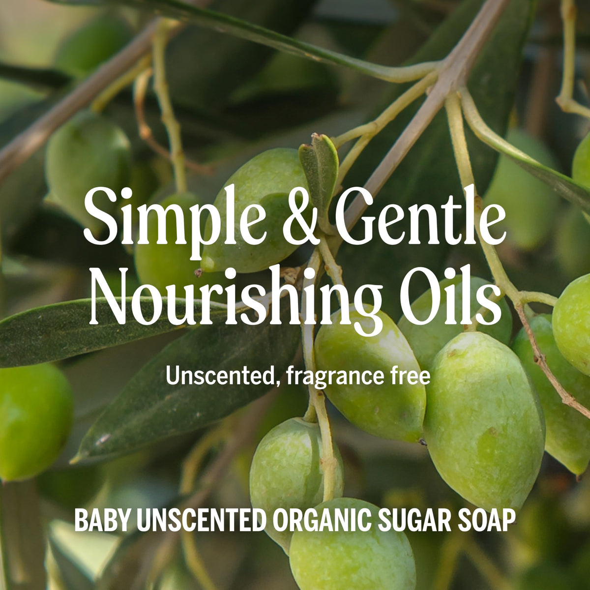Dr. Bronner's Organic Sugar Soap Baby Unscented pouring into hand
