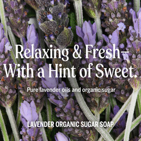 Dr. Bronner's Organic Sugar Soap Lavender with bubbles