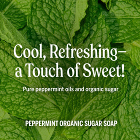 Dr. Bronner's Organic Sugar Soap Lavender with lavender flowers