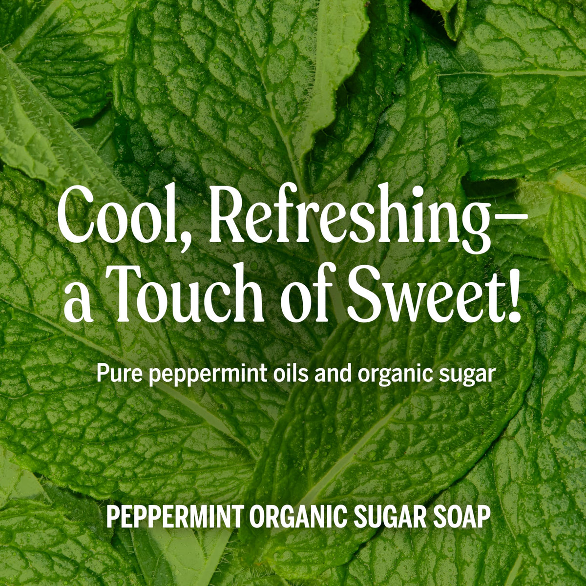 Dr. Bronner's Organic Sugar Soap Peppermint 24oz with bubbles