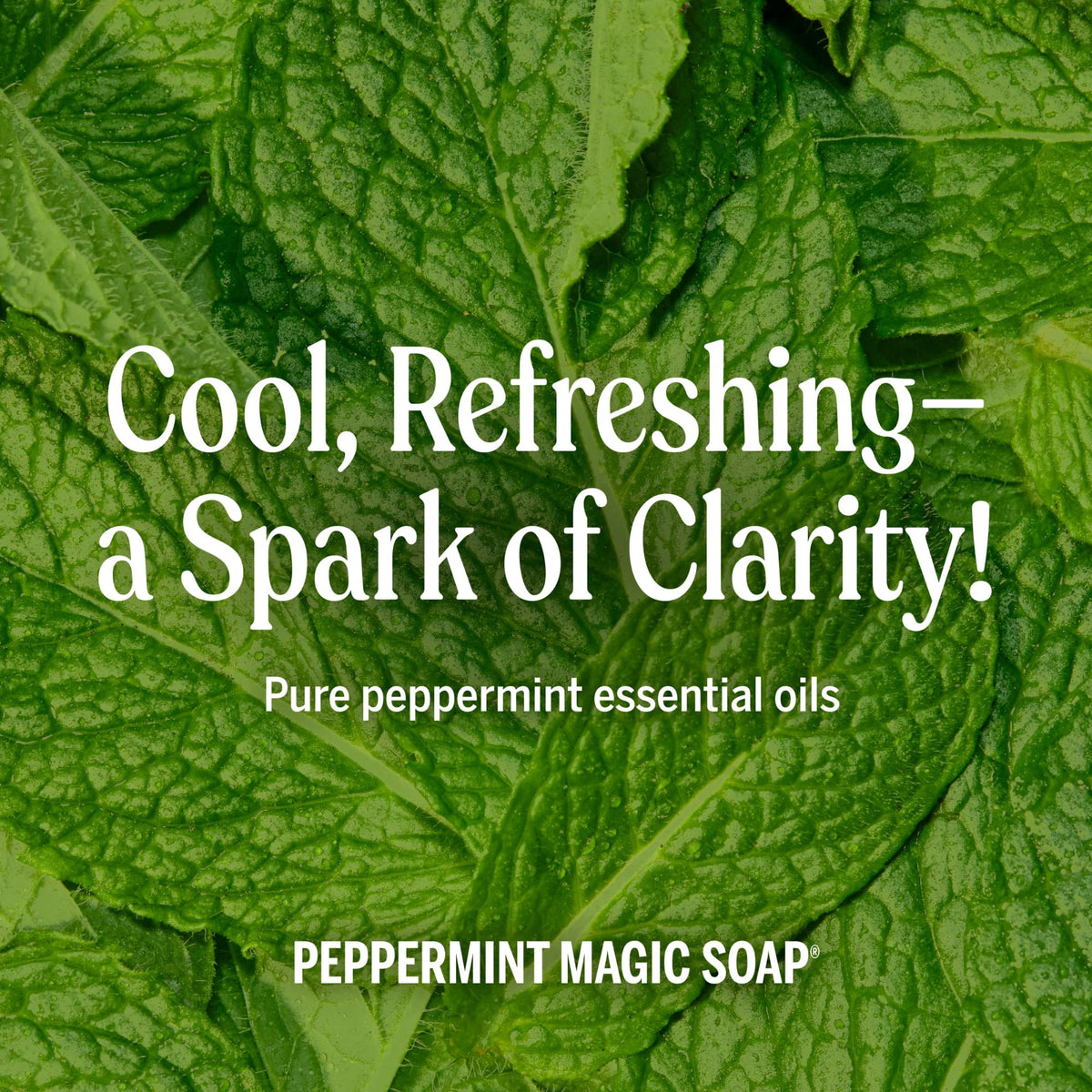 Dr. Bronner's Peppermint Pure-Castile Liquid Soap in a bathroom setting
