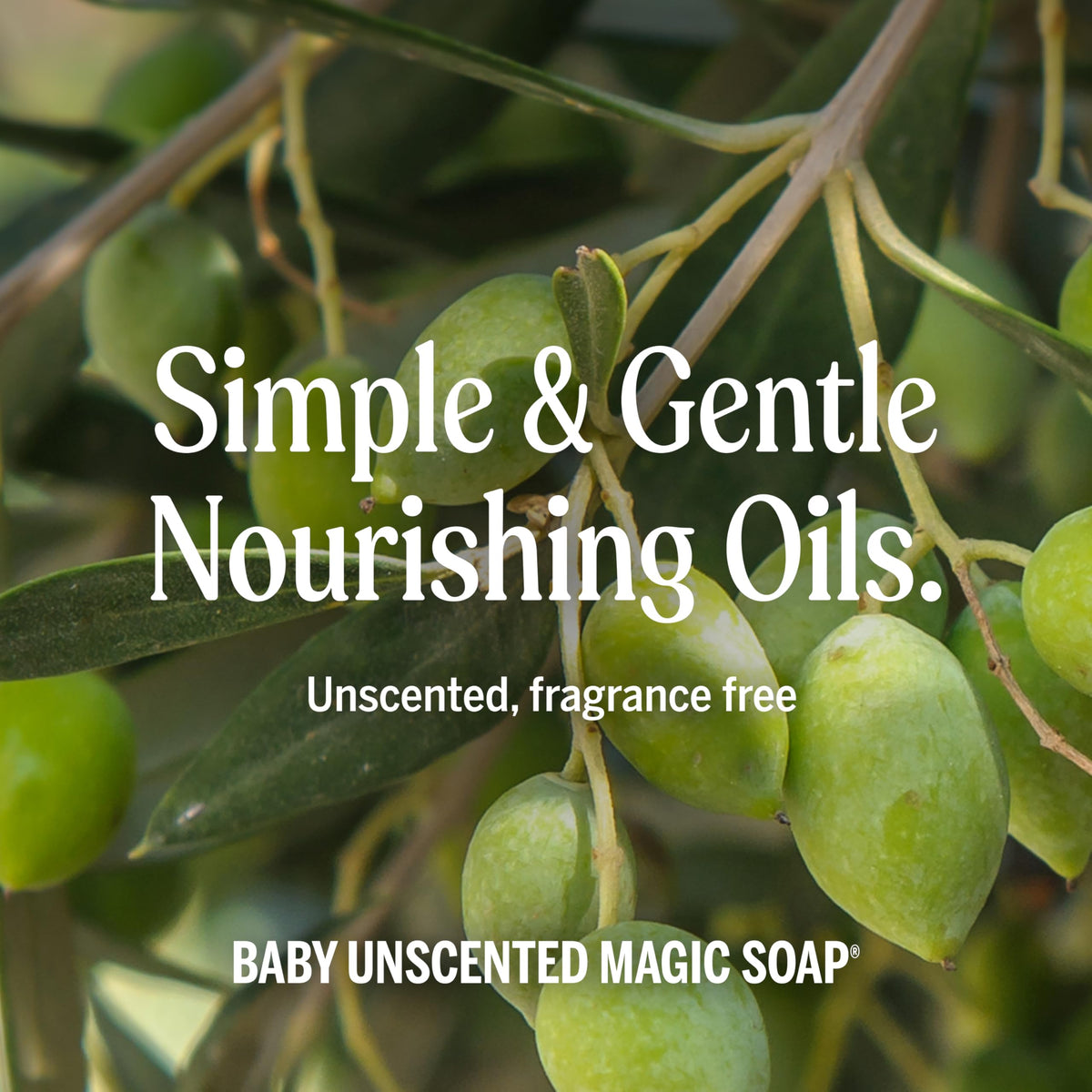Dr. Bronner's Pure-Castile Liquid Soap in use during cleaning