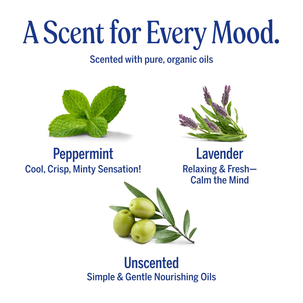 Dr. Bronner's Pure-Castile Magic Bar Soap packaging