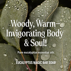Dr. Bronner's Pure-Castile Soap Bar in use at a sink