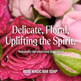 Dr. Bronner's soap bar in hand, showcasing lather