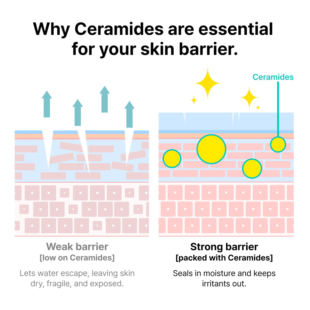Dr.Jart+ Ceramidin Skin Barrier Moisturizer with ingredients list