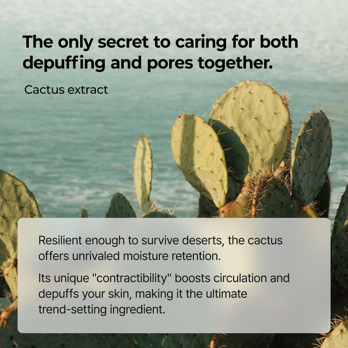 Dr.Melaxin Cactox Serum with cactus extract ingredients
