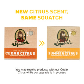 Dr. Squatch Pine Tar bar soap with fresh herbs