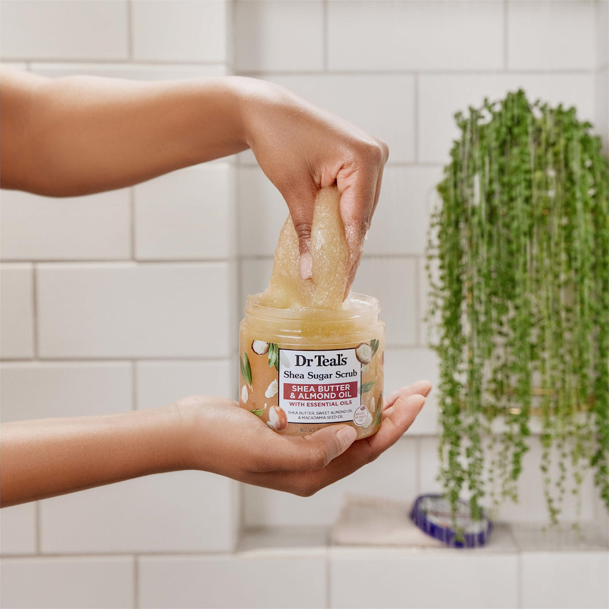 Dr Teal's Shea Sugar Body Scrub 19 oz packaging with essential oils