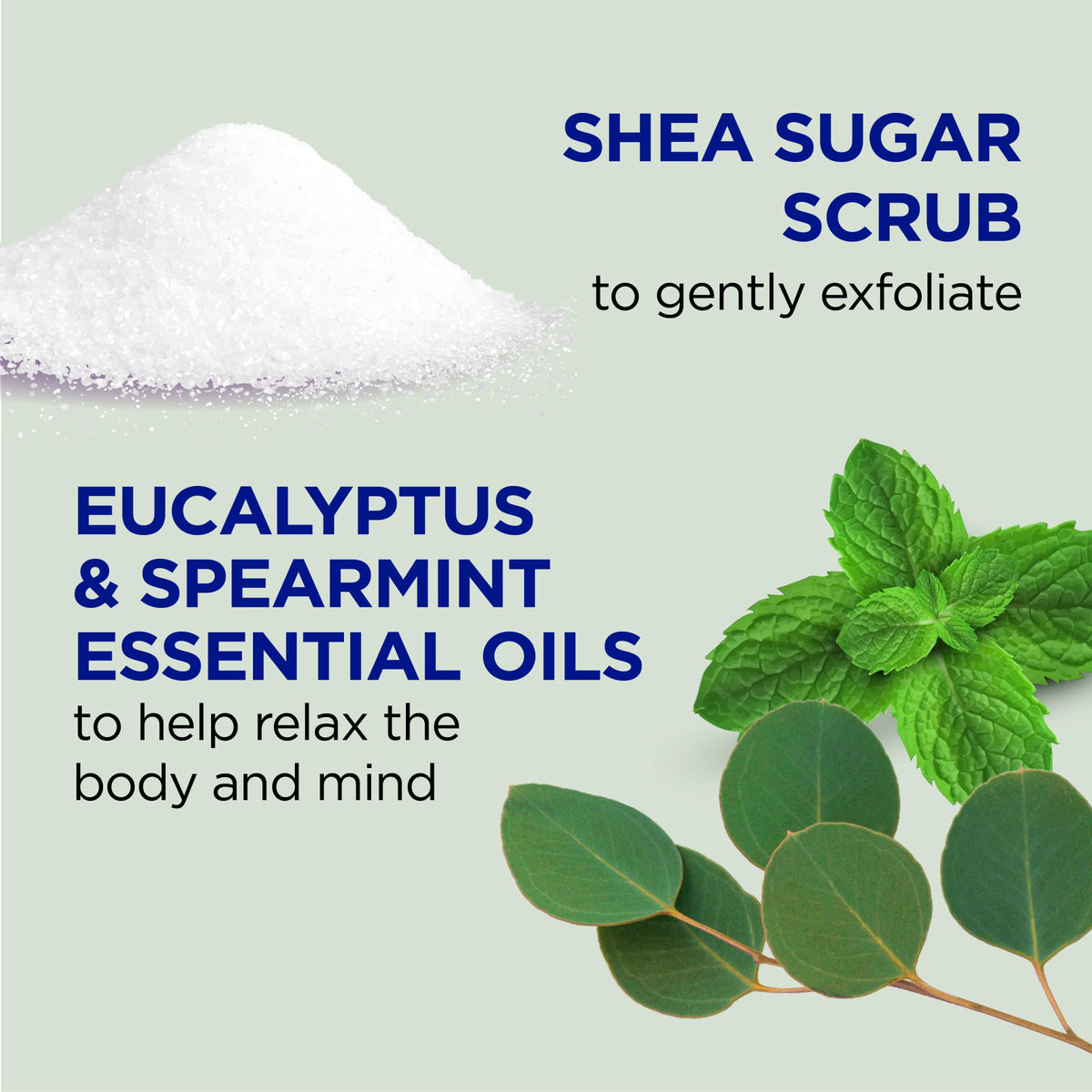 Dr Teal's Shea Sugar Scrub Eucalyptus & Spearmint packaging