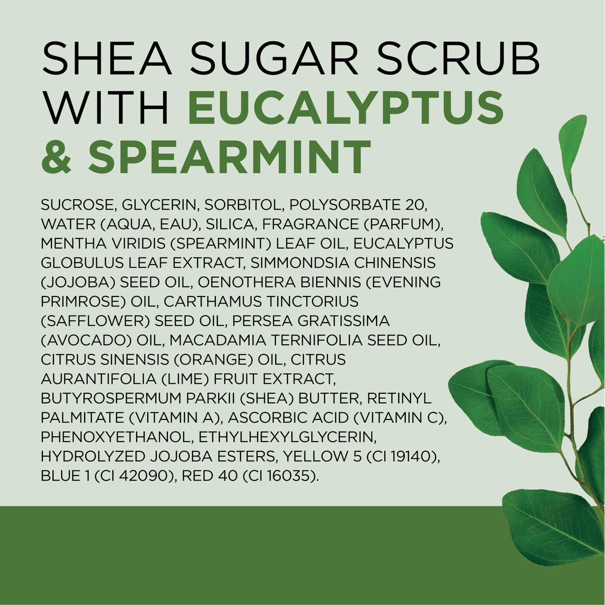 Dr Teal's Shea Sugar Scrub Eucalyptus & Spearmint scoop