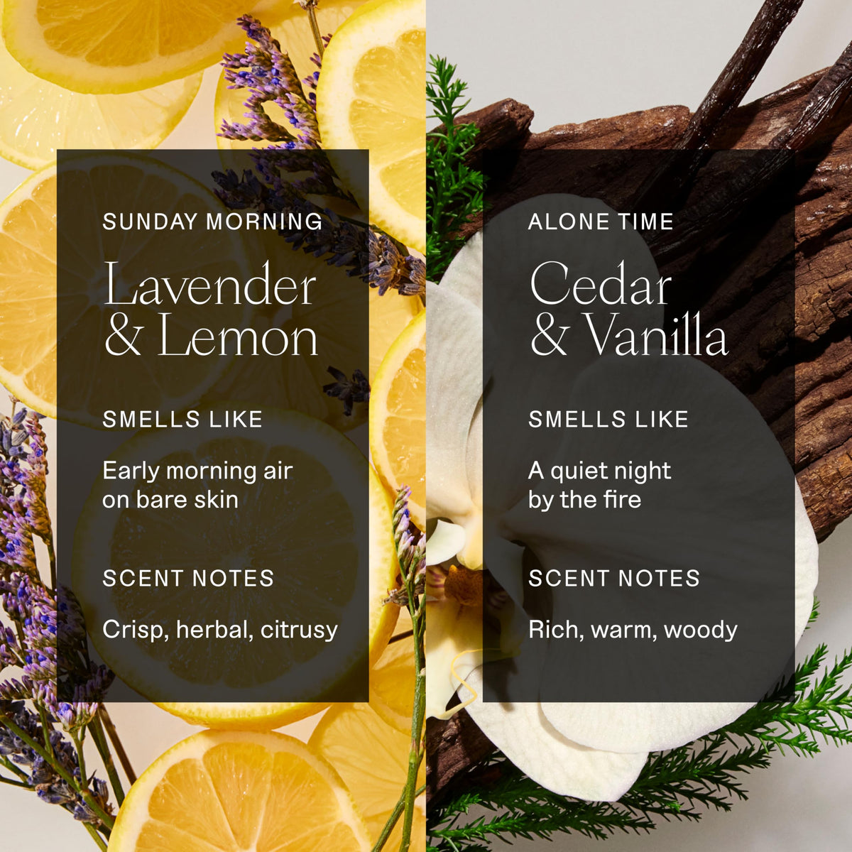 Each & Every Aluminum Free Deodorant Cedar & Vanilla packaging