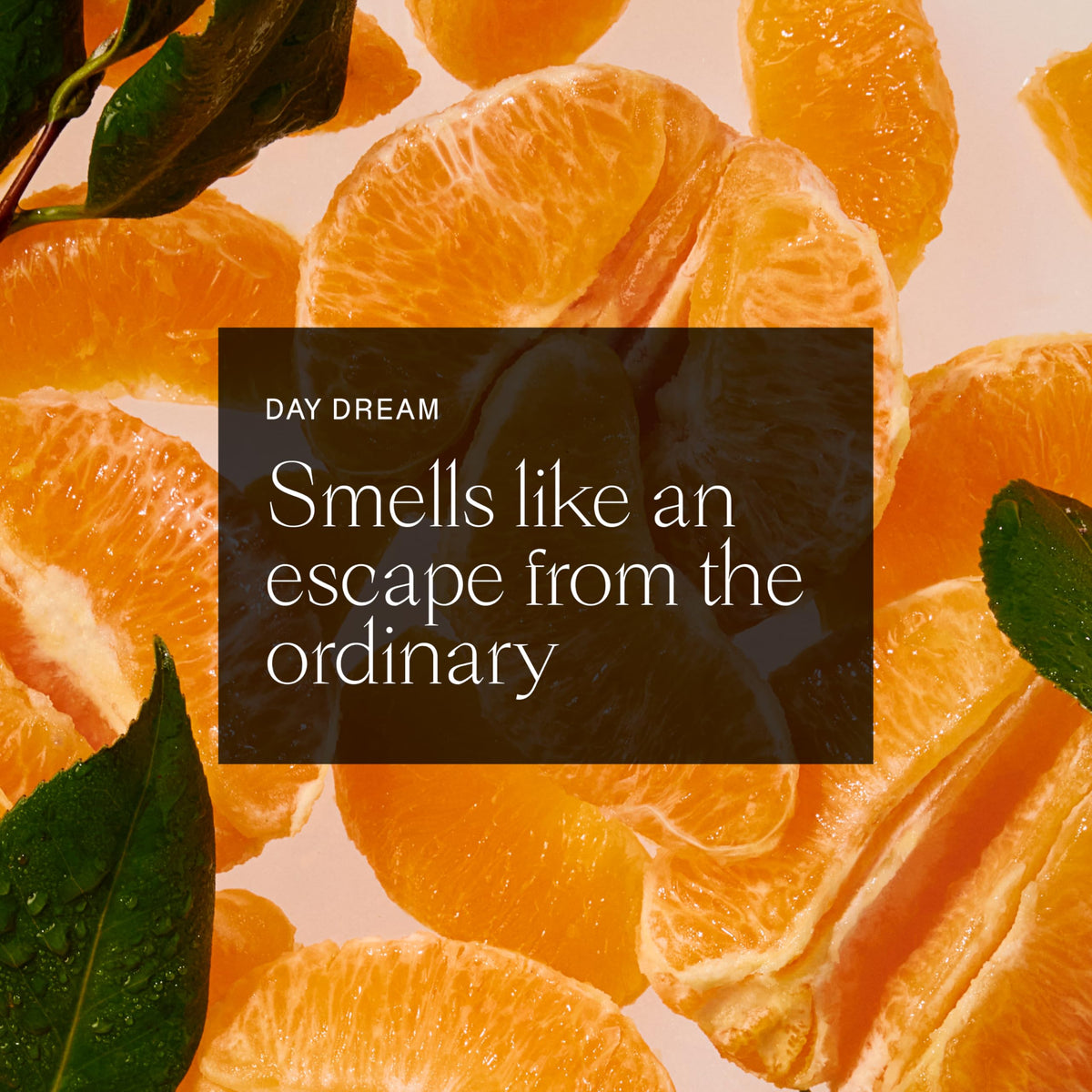 Each & Every Natural Deodorant ingredients list close-up