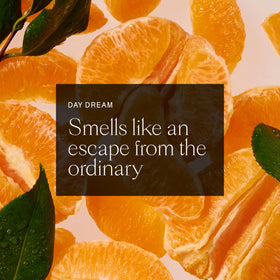 Each & Every Natural Deodorant ingredients list close-up