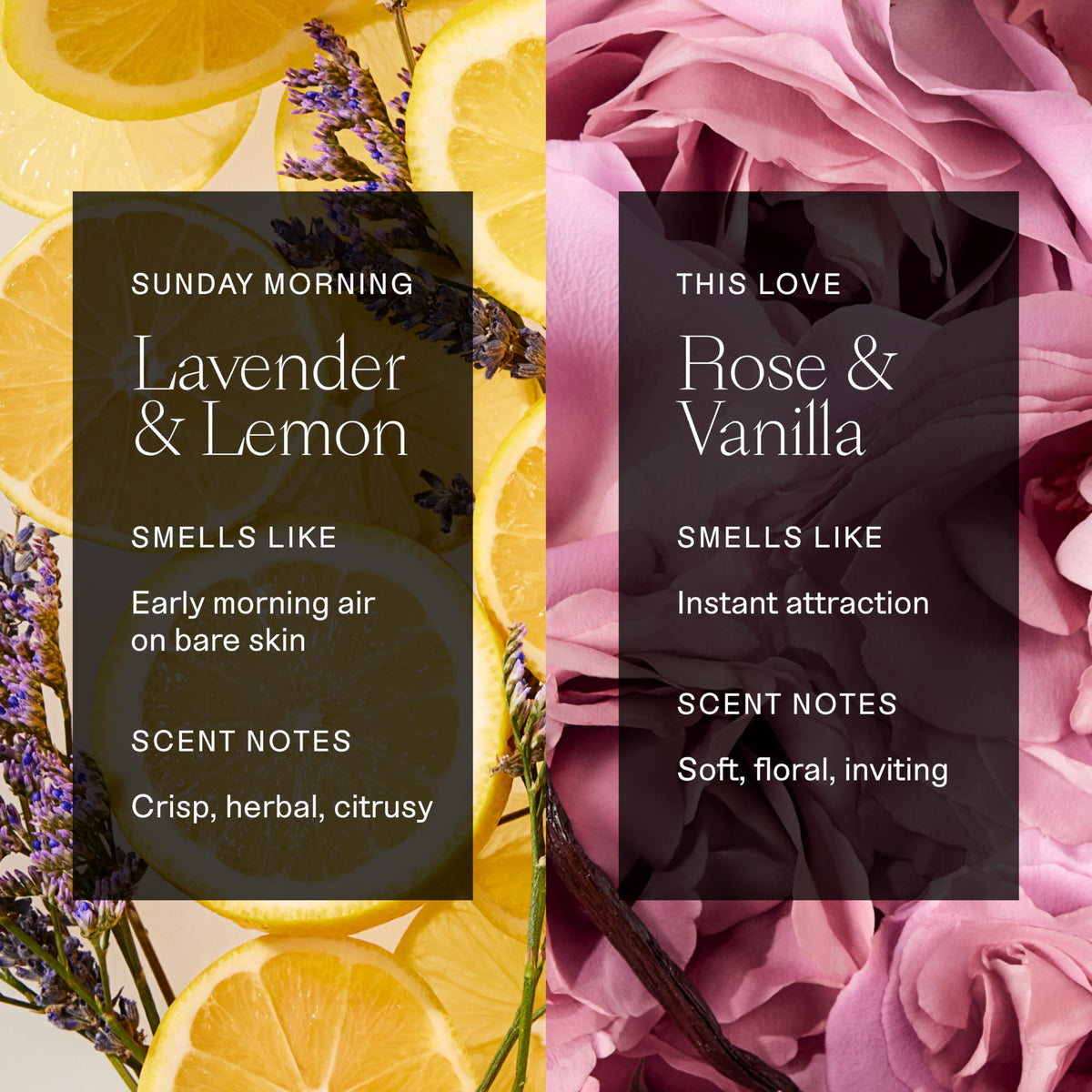 Each & Every Natural Deodorant packaging showing ingredients