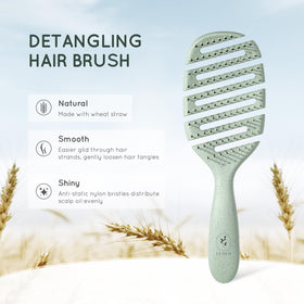 ecoed Detangler Hairbrush showing soft bristles