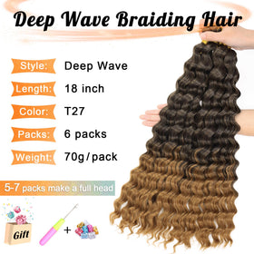 EERYA Ocean Wave Crochet Hair in T1B/27 color