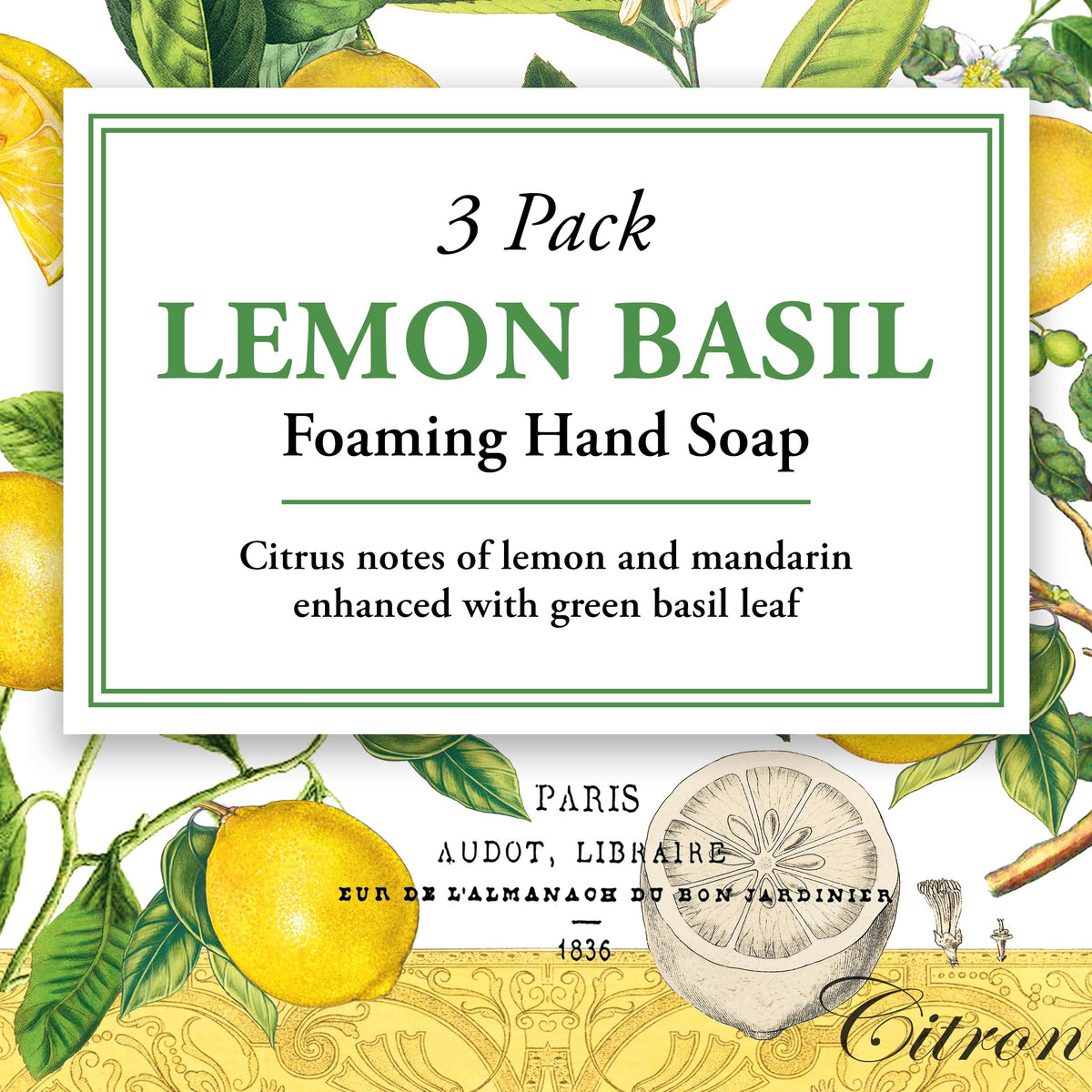 Elegant pump dispenser of Michel Design Works Lemon Basil Hand Soap