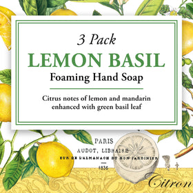 Elegant pump dispenser of Michel Design Works Lemon Basil Hand Soap