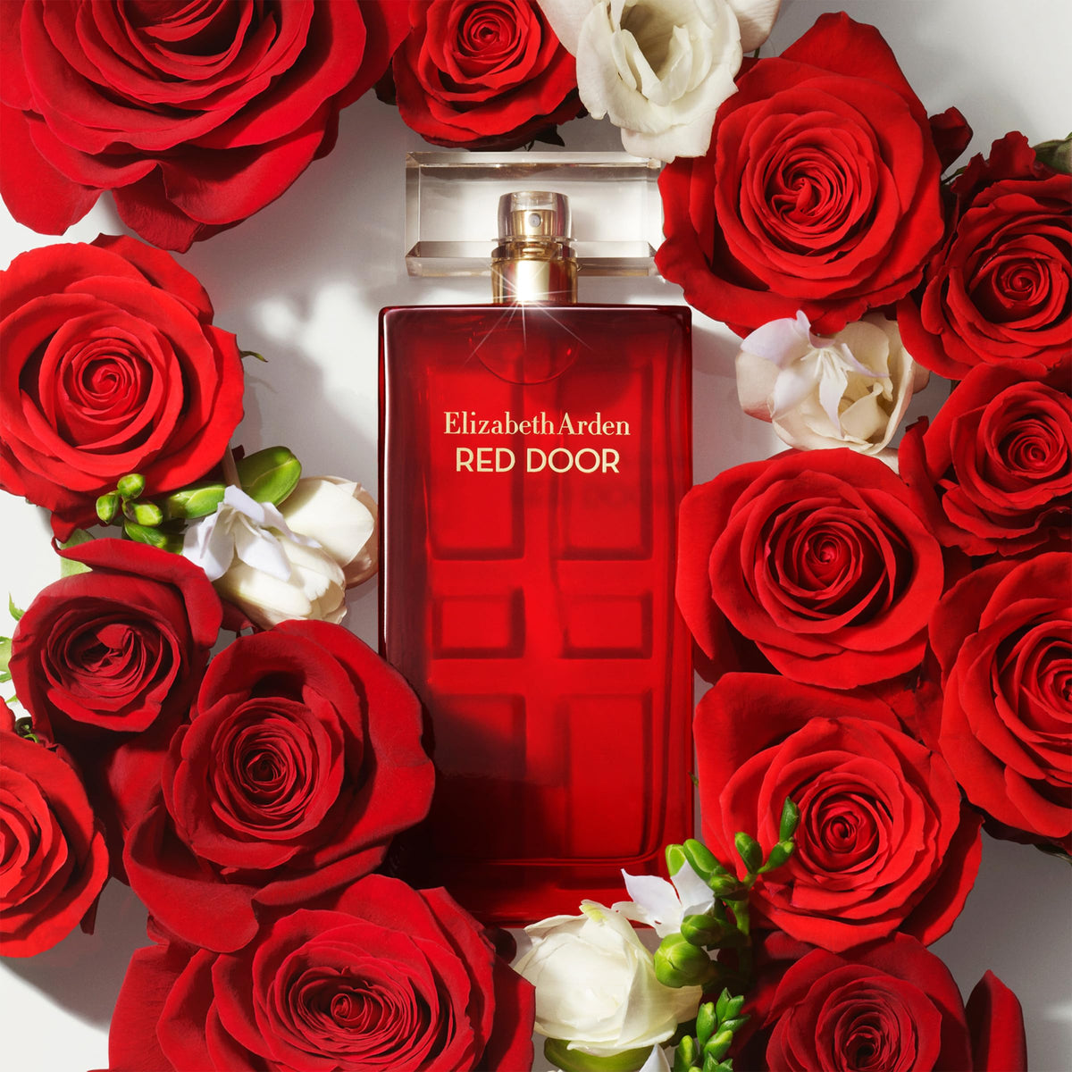 Elizabeth Arden Red Door Eau de Toilette 30 mL on a vanity