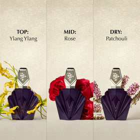 Elizabeth Taylor Passion Eau de Toilette packaging