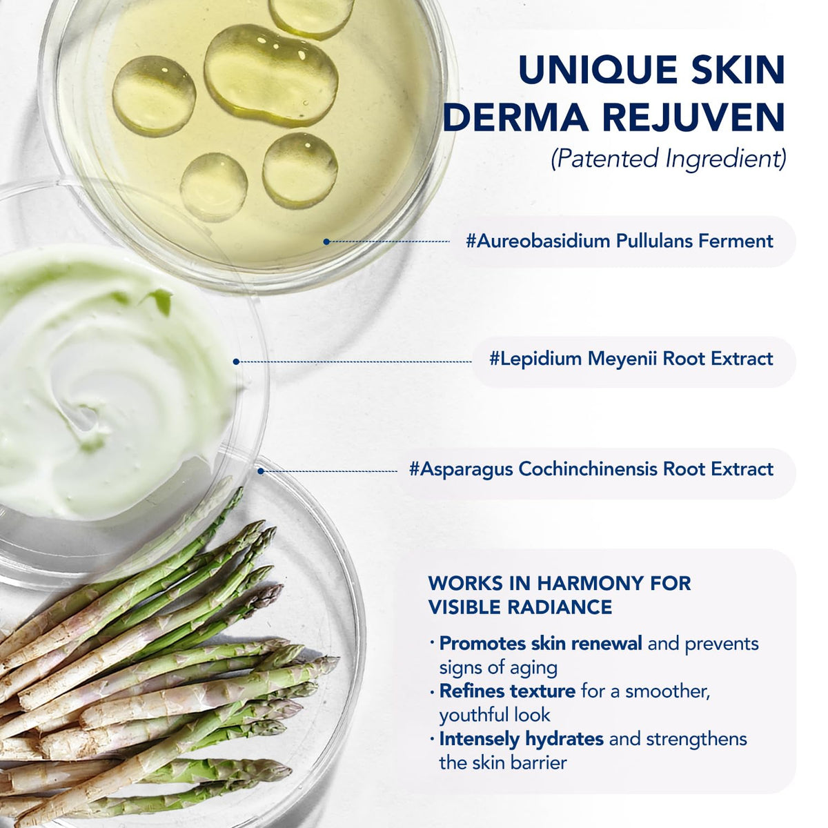 ElySeoul Neck Cream 50g with natural ingredients