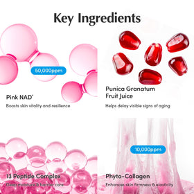EQQUALBERRY NAD+ Peptide Cream ingredients list