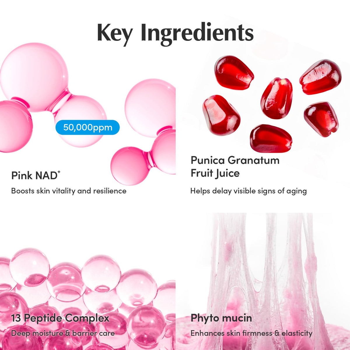 EQQUALBERRY NAD+ Peptide support Cream lifestyle scene