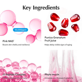 EQQUALBERRY NAD+ Peptide support Cream lifestyle scene