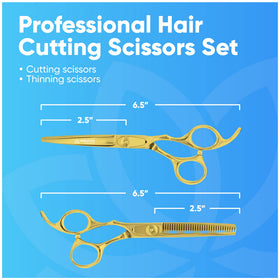 Equinox Barber Scissors close-up of the blade