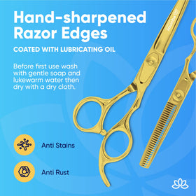Equinox Barber Scissors Set in protective packaging