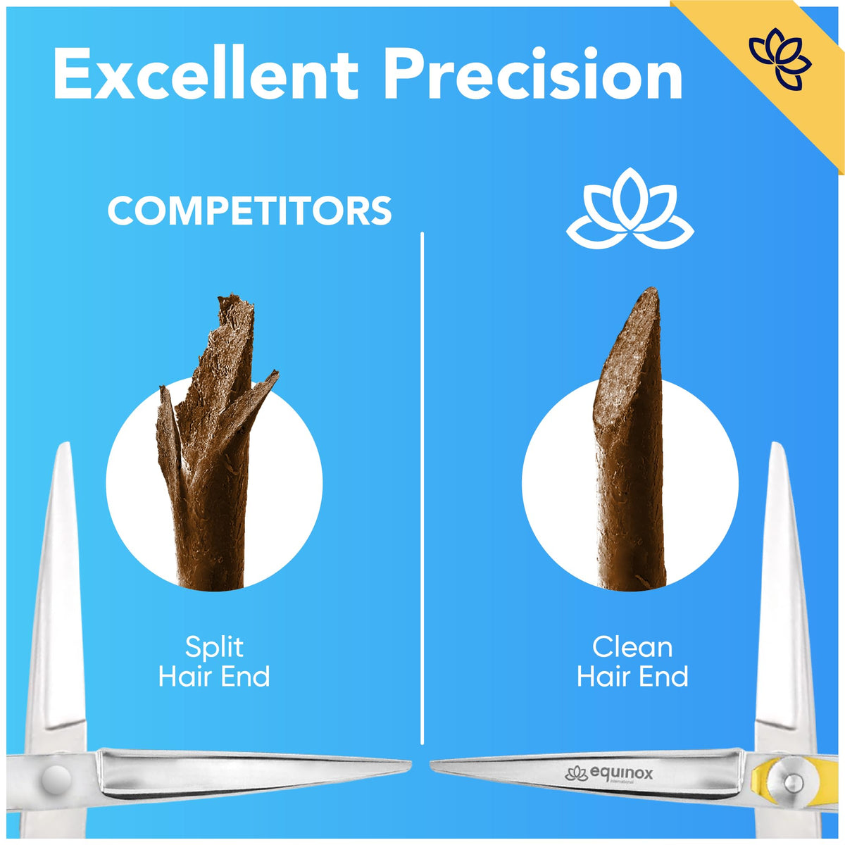 Equinox Hair Scissors in protective packaging