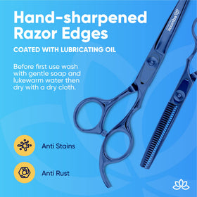 Equinox hair scissors set in protective packaging