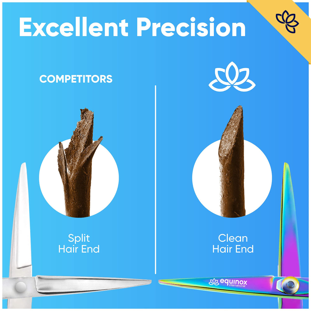 Equinox Hair Scissors showing curved finger rest and comfortable holes