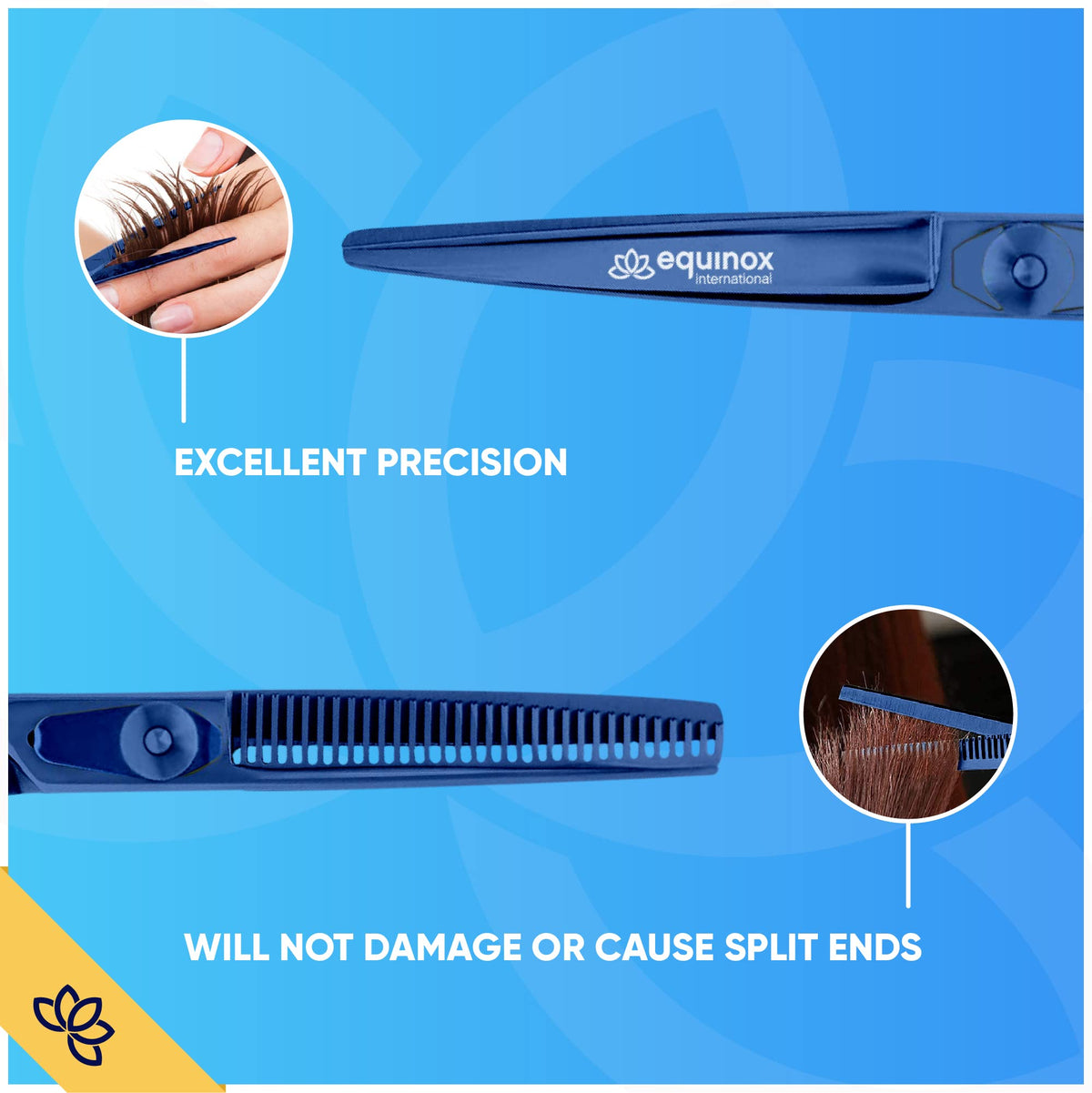 Equinox Professional Hair Scissors Set with measurements shown