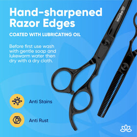 Equinox scissors set in protective packaging