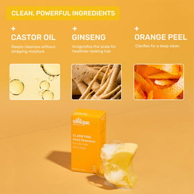 Ethique Clarifying Shampoo Bar with castor oil and ginseng ingredients