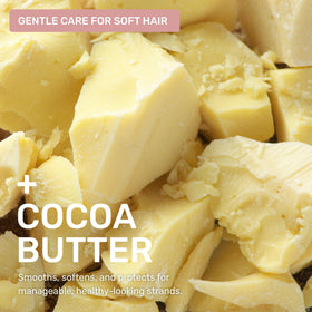 Ethique Gentle Unscented Shampoo Bar on a bathroom shelf