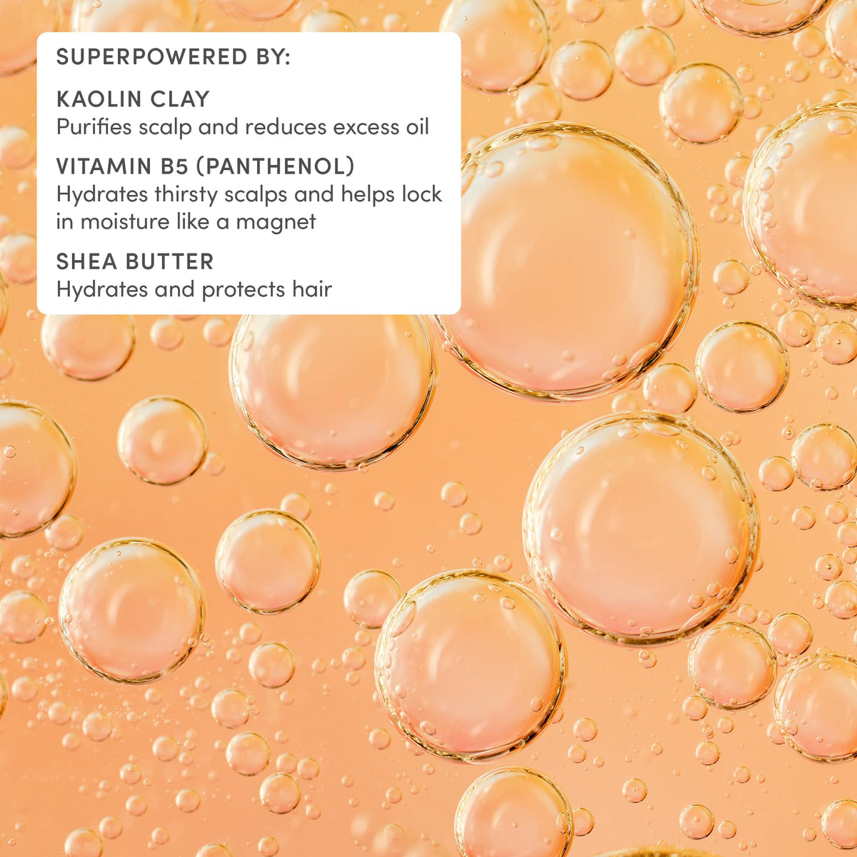 Evereden Kids After-Swim Shampoo application on wet hair