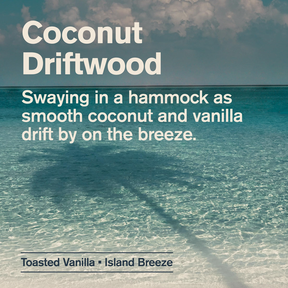 Every Man Jack 2-in-1 Shampoo & Conditioner Coconut Driftwood 24 oz with coconut and driftwood