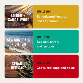 Every Man Jack Cedar Red Sage scent stick