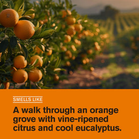 Every Man Jack Hydrating Body Wash Citrus Eucalyptus side view