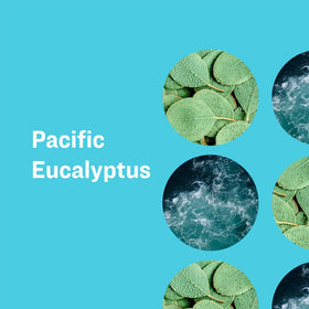 everyone for every body SOAP PACIFIC EUCALYPTUS side view