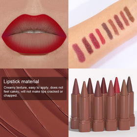 evpct lip liner and matte lipstick in mauve shade