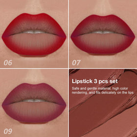 evpct lip liner and matte lipstick in ruby plum shade