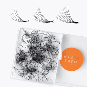 Eyesy Lash 10D premade fans front view in case