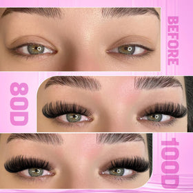 FANXITON Lash Clusters Kit showcasing 312 pcs of cluster lashes